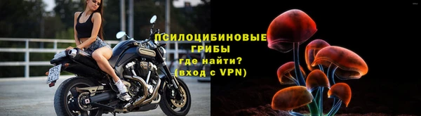 мяу мяу мука Баксан