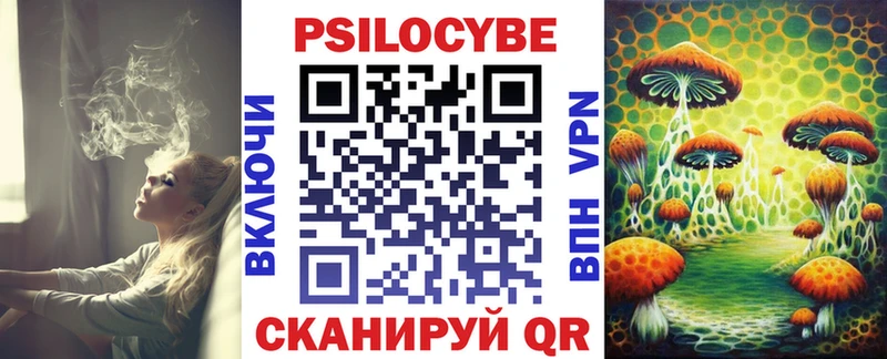 Псилоцибиновые грибы GOLDEN TEACHER  продажа наркотиков  Лесозаводск 